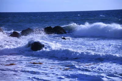 DSC_0551 (Large).JPG